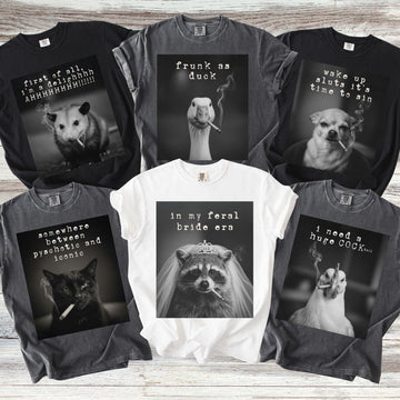 Custom Funny Sarcastic Bachelorette Party Comfort Colors Shirts, Matching Group Smoking Cat Animal Meme Girls Trip, Game Night Tee